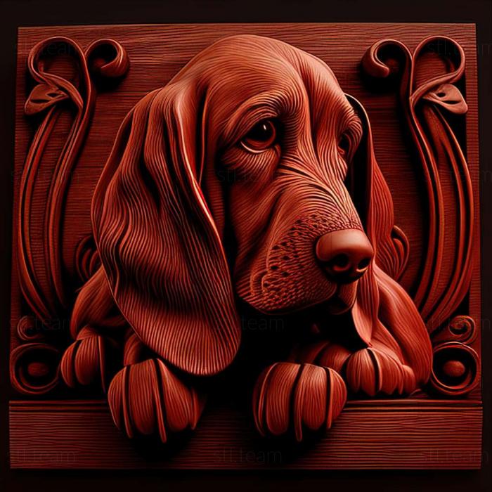 Animals Red Breton Basset dog